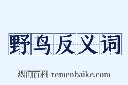 野鸟反义词是什么意思的图片